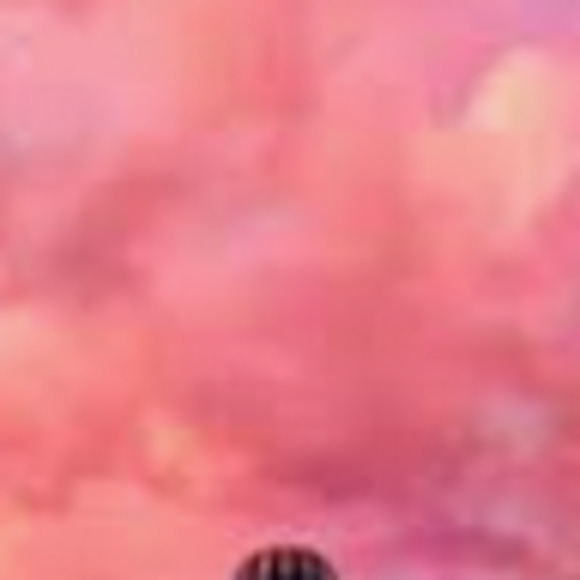 Meet your Posher, Lola - Picture 1 of 1